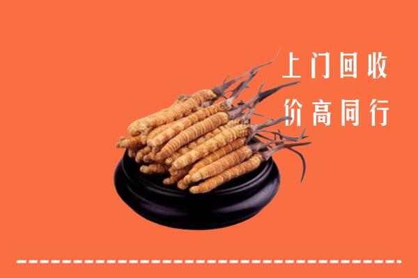 高价求购：巴彦卓尔乌拉特前旗回收散虫草