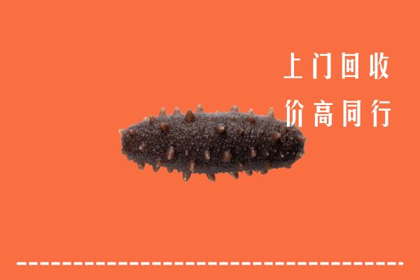 高价求购：巴彦卓尔乌拉特前旗回收海参
