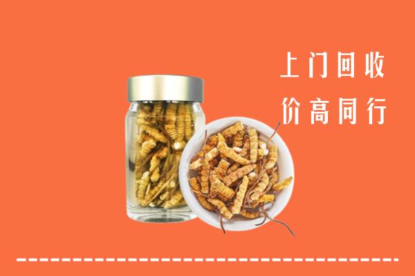 巴彦卓尔乌拉特前旗回收冬虫夏草